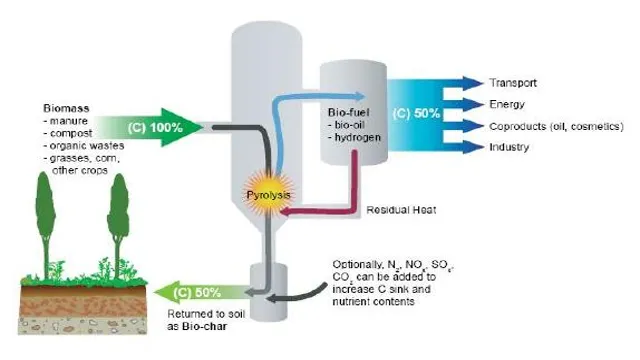 biochar integration systems