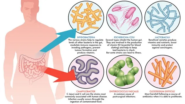 microorganism boosters