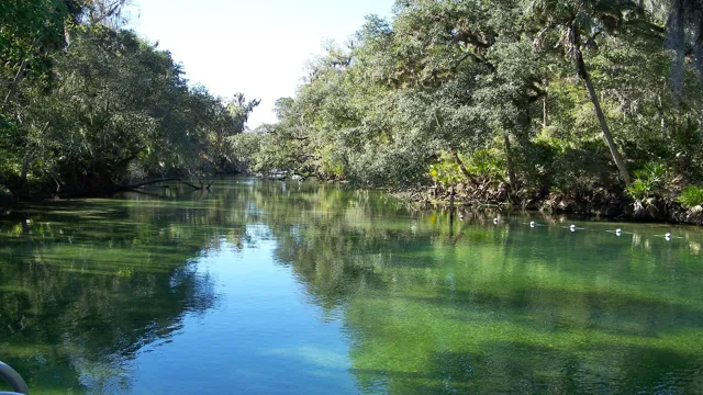 natural waterway protectors