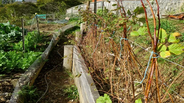 permaculture addons