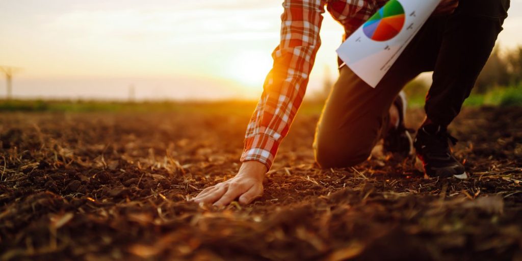 Boosting Soil Health: A Comprehensive Guide To Effective Soil