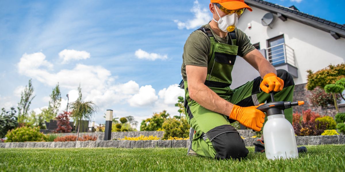 A Guide To Natural Herbicide Sprayers For Eco-friendly Gardening