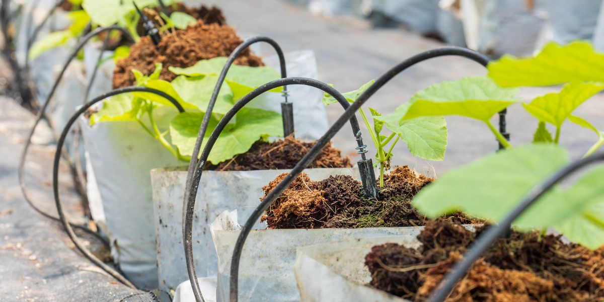A Comprehensive Guide To Drip Irrigation Optimizers