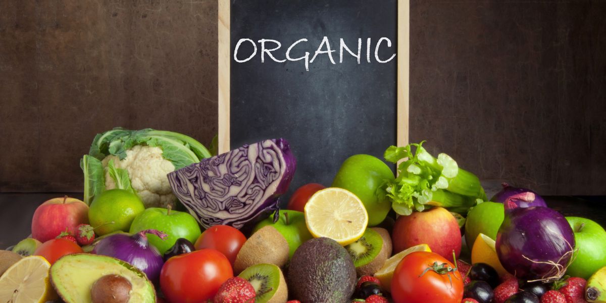 Organic Matter Integrators For Sustainable Growth – Proper Guideline