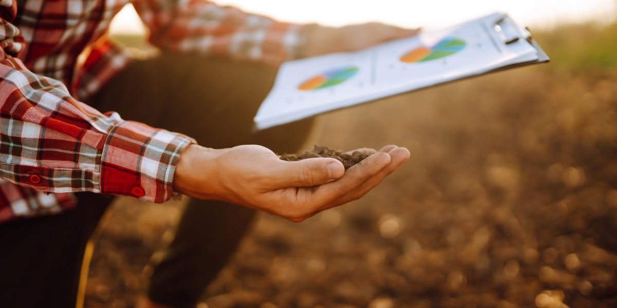 Boosting Soil Health: A Comprehensive Guide To Effective Soil