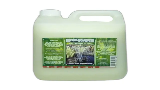 Master Algae Control With Essential Tools and Techniques