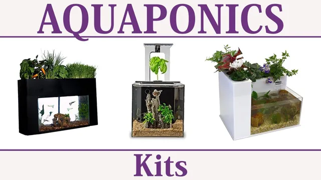 Unlocking Sustainable Farming: A Comprehensive Guide to Aquaponics Integration Kits