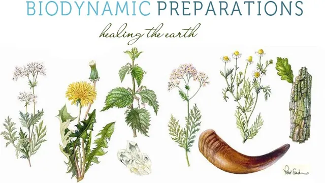 Power of Biodynamic Compost Activators for Organic Farming