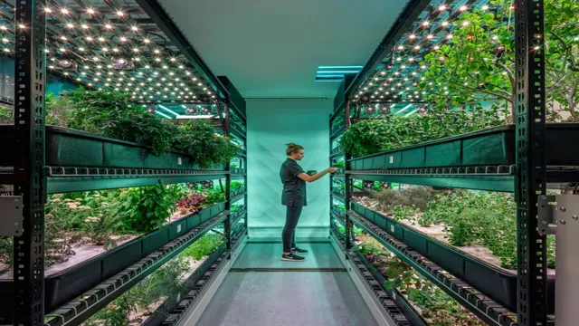 Master Indoor Farming Lighting for Maximum Crop Growth